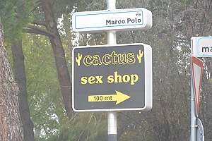 October 19, 2013<br>We saw sex shops all over.  Not sure why this one south of Ravenna is a Cactus Sex Shop.  Seems kind of cool that it's on Marco Polo street somehow.<br>